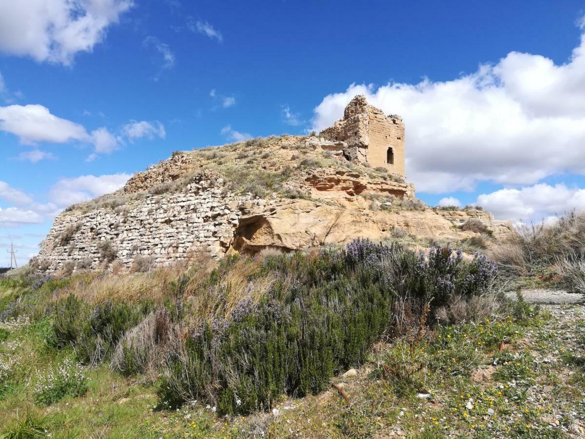 Ca L'Aviador Villa Sarroca de Lerida Exteriör bild